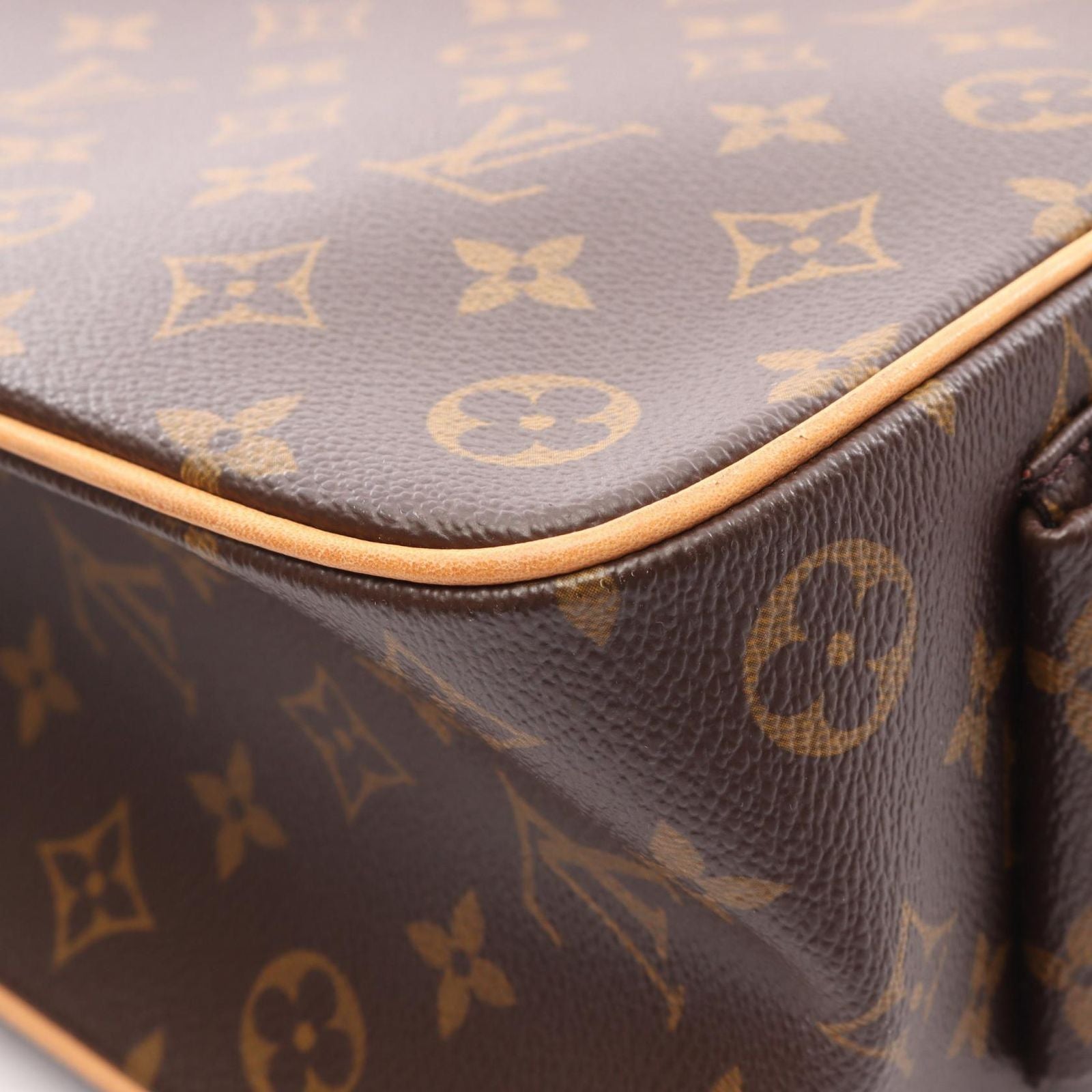 Louis Vuitton Handbag Multiplicity Canvas Leather Multiply Cite — view 9