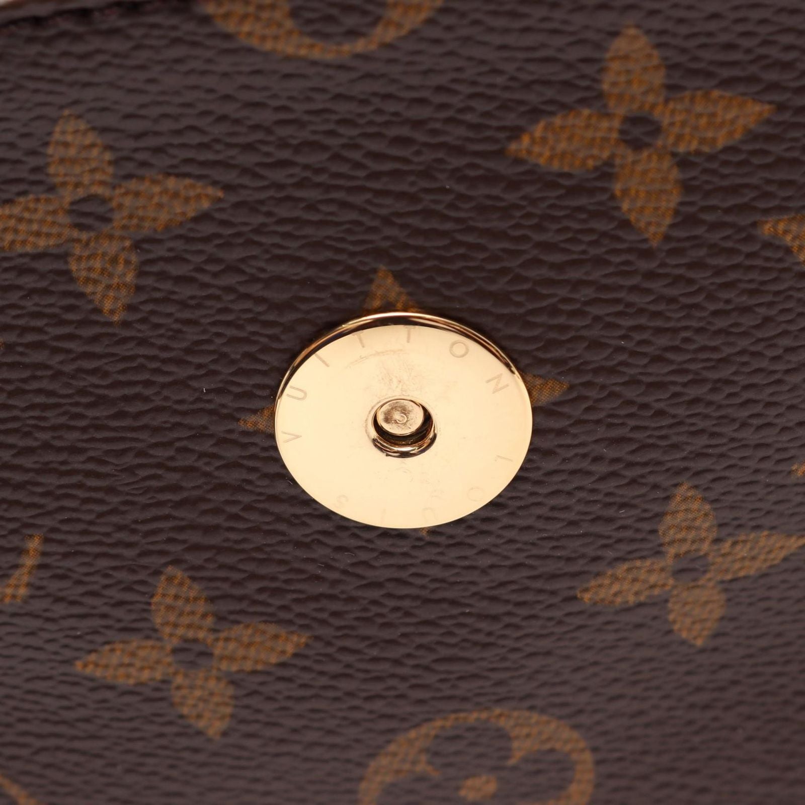 Louis Vuitton Handbag Multiplicity Canvas Leather Multiply Cite — view 6
