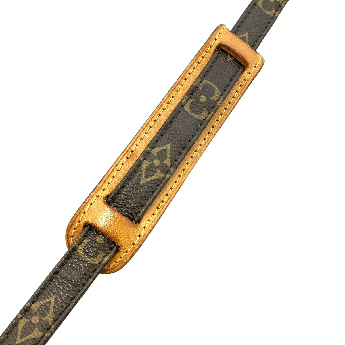 Louis Vuitton Amazon Monogram Shoulder Bag Canvas — view 9