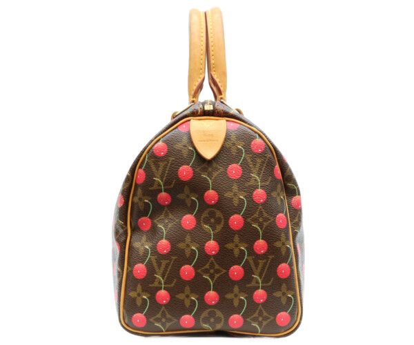 Louis Vuitton Monogram Cherry Speedy 25 Handbag — view 4