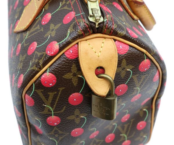 Louis Vuitton Monogram Cherry Speedy 25 Handbag — view 8