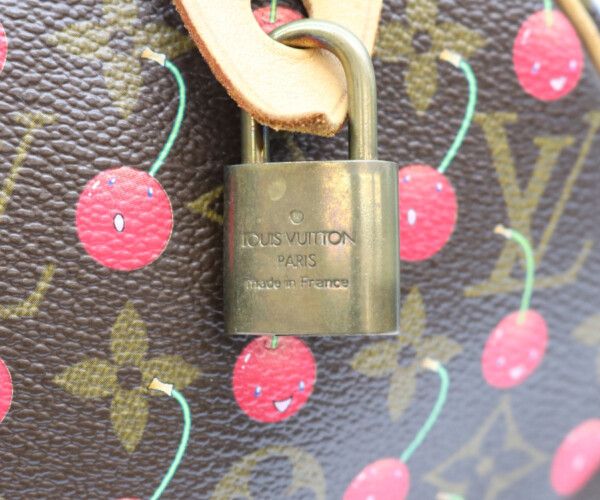 Louis Vuitton Monogram Cherry Speedy 25 Handbag — view 9