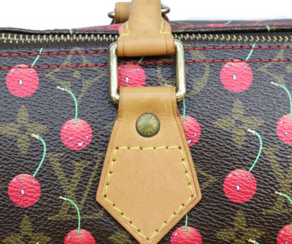Louis Vuitton Monogram Cherry Speedy 25 Handbag — view 6