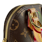 Louis Vuitton Shoulder Bag LV Takashi Murakami Nano Alma — view 7