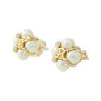 Celine Earrings Gold — view 2