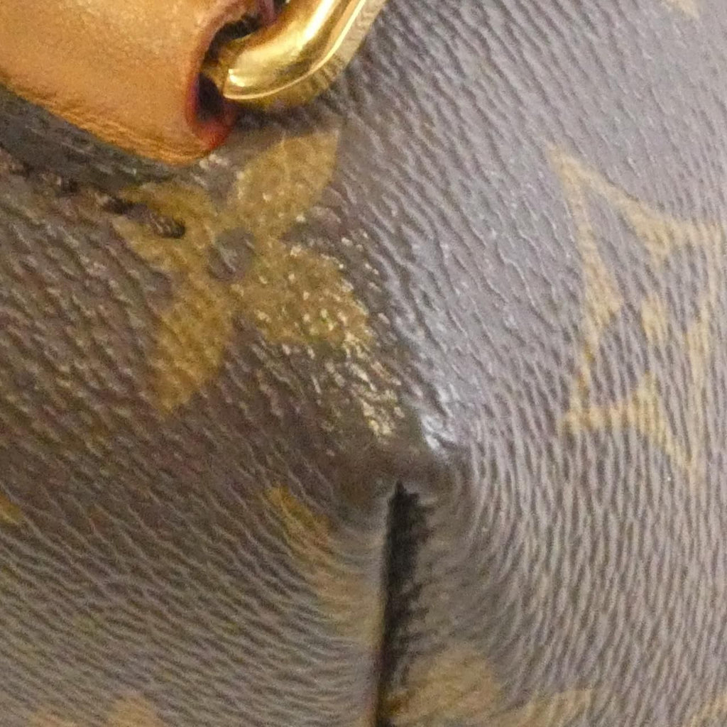 Louis Vuitton Monogram Montsouris PM Backpack — view 4