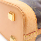 Louis Vuitton Monogram Vinyl Cover Amble PM Handbag — view 5