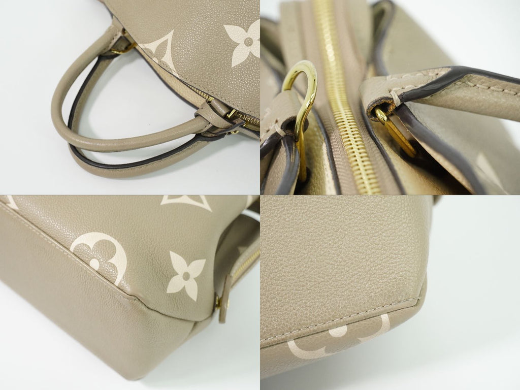 Louis Vuitton LV Petit Palais PM Bicolor Monogram Empreinte Leather Handbag — view 6