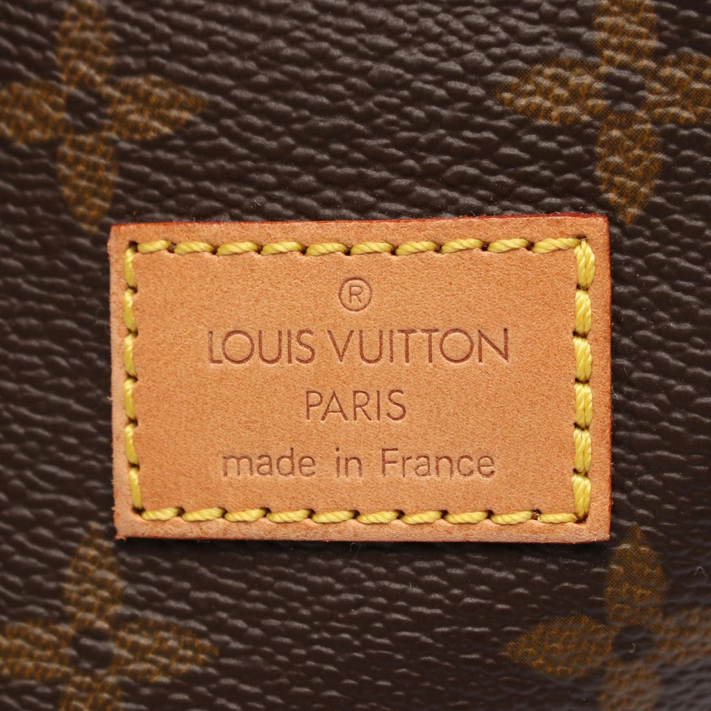 Louis Vuitton Shoulder Bag Saumur 30 Canvas Leather — view 4