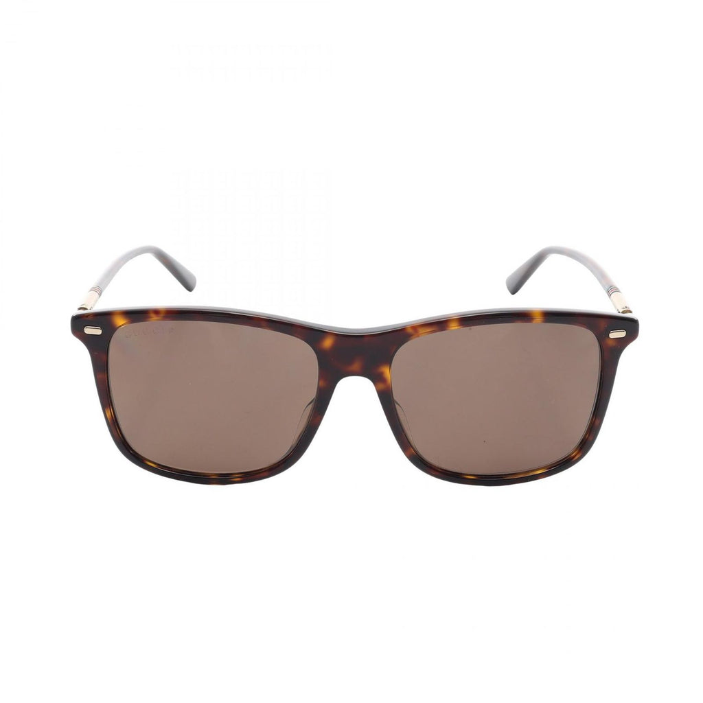 Gucci Sunglasses Tortoiseshell Pattern Eyewear
