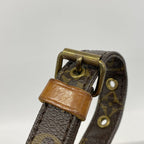 Louis Vuitton Shoulder Bag Monogram Danube MM Brown — view 9