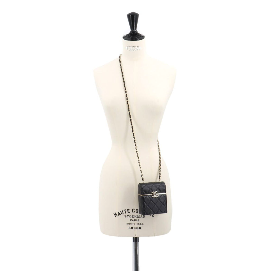 Chanel Quilted Box Shoulder — view 9