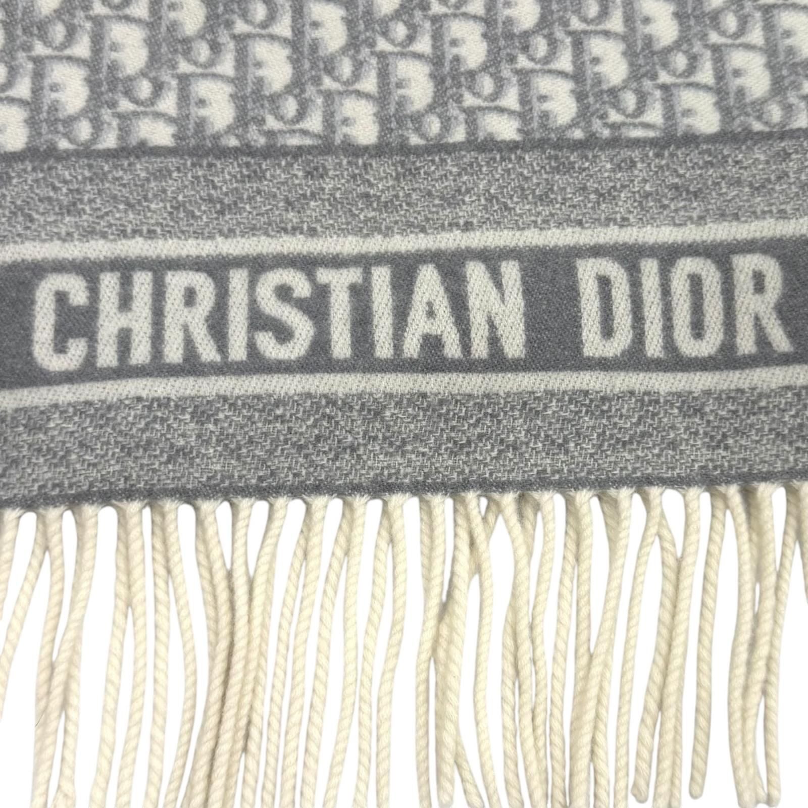Dior 220000 Scarf Gray — view 5