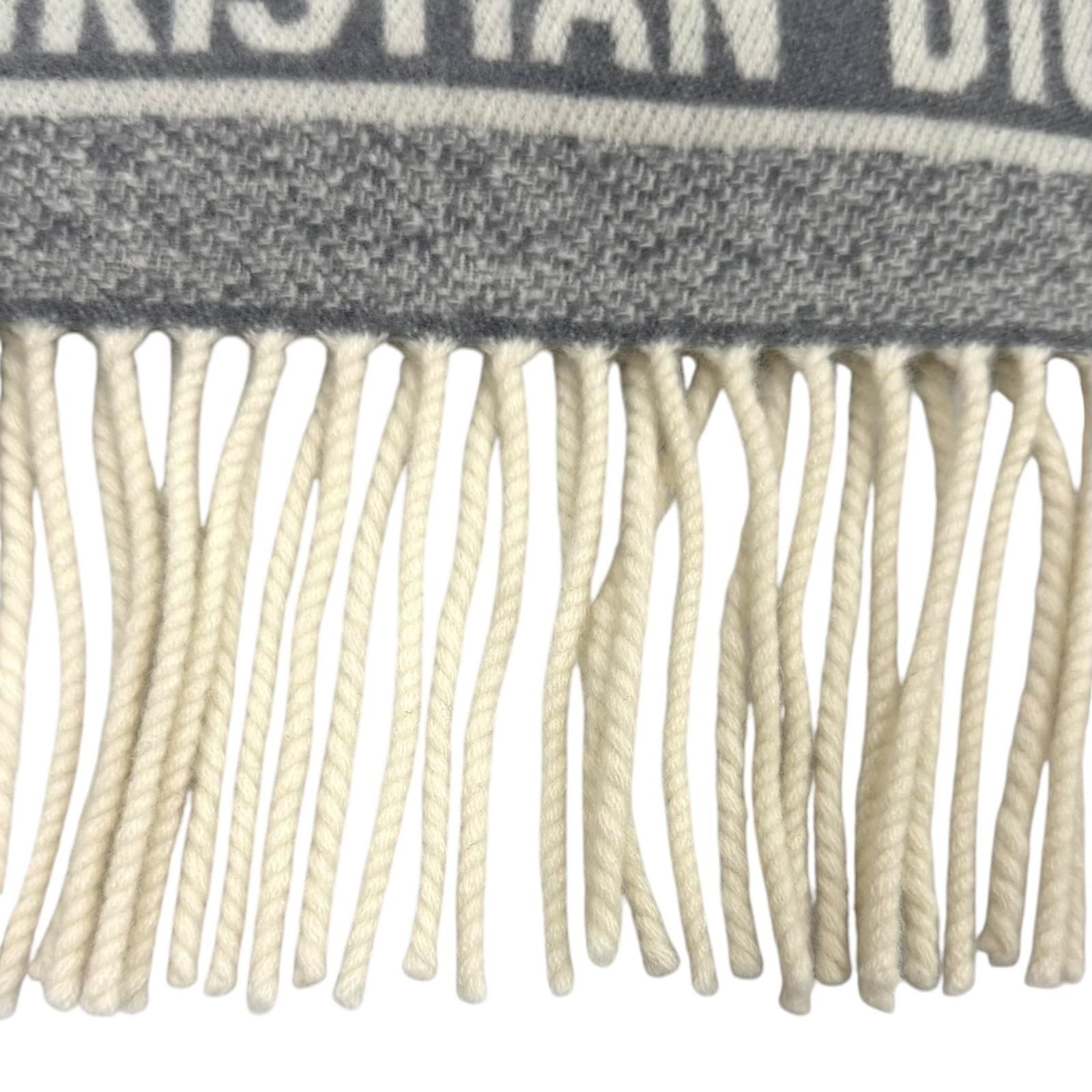 Dior 220000 Scarf Gray — view 4