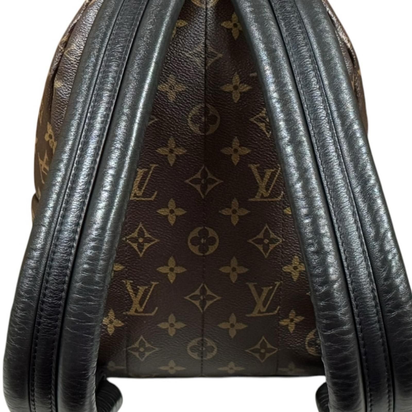 Louis Vuitton Palm Springs PM Monogram Backpack Canvas — view 9