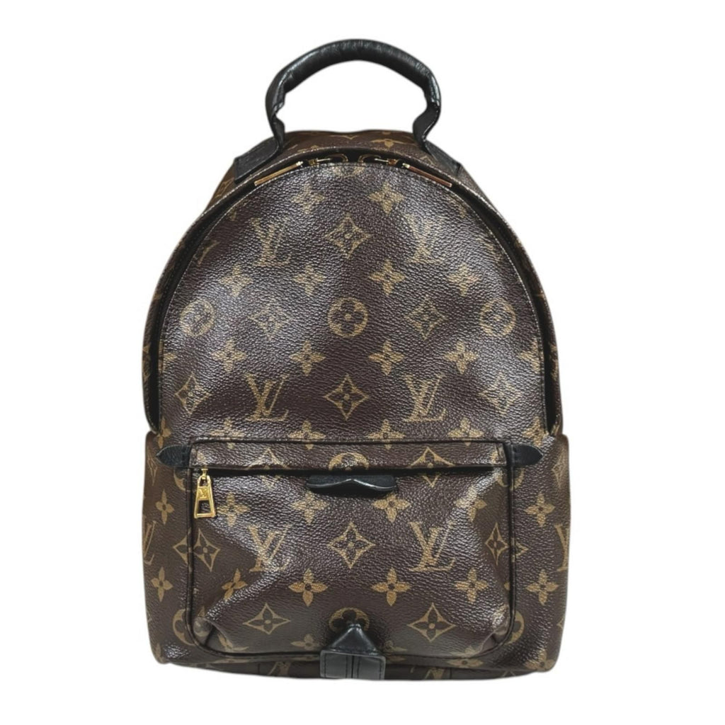 Louis Vuitton Palm Springs PM Monogram Backpack Canvas