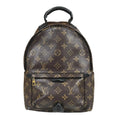 Louis Vuitton Palm Springs PM Monogram Backpack Canvas