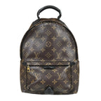 Louis Vuitton Palm Springs PM Monogram Backpack Canvas
