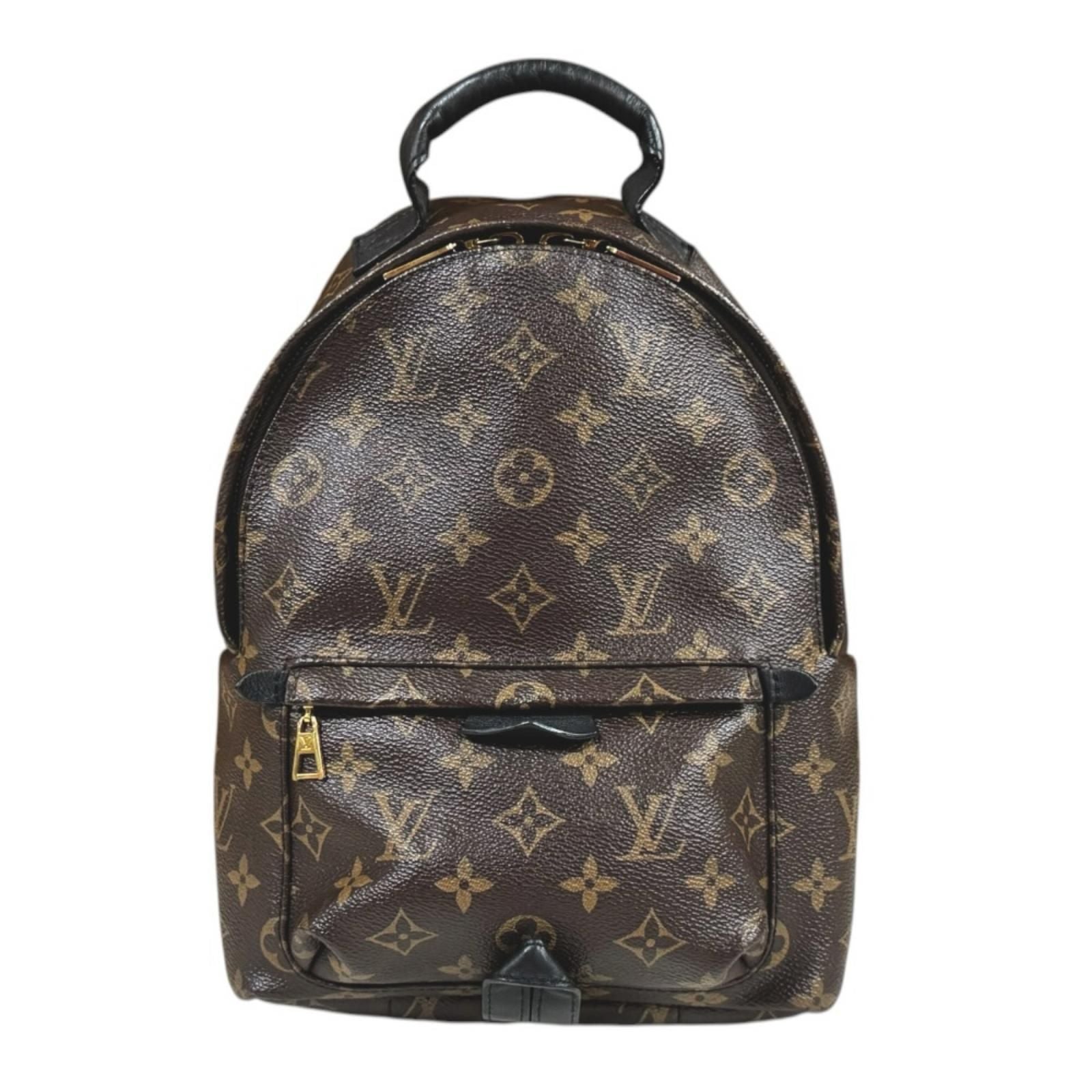 Louis Vuitton Palm Springs PM Monogram Backpack Canvas