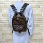 Louis Vuitton Palm Springs PM Monogram Backpack Canvas — view 2