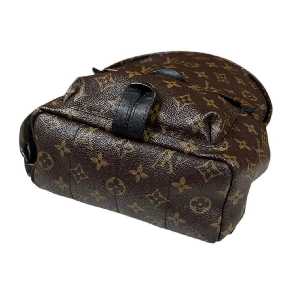 Louis Vuitton Palm Springs PM Monogram Backpack Canvas — view 5
