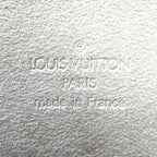 Louis Vuitton Waist Bag Pochette Florentine Pouch Monogram Canvas Brown Gold — view 5