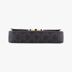 Celine Triomphe Brown Canvas Shoulder — view 3