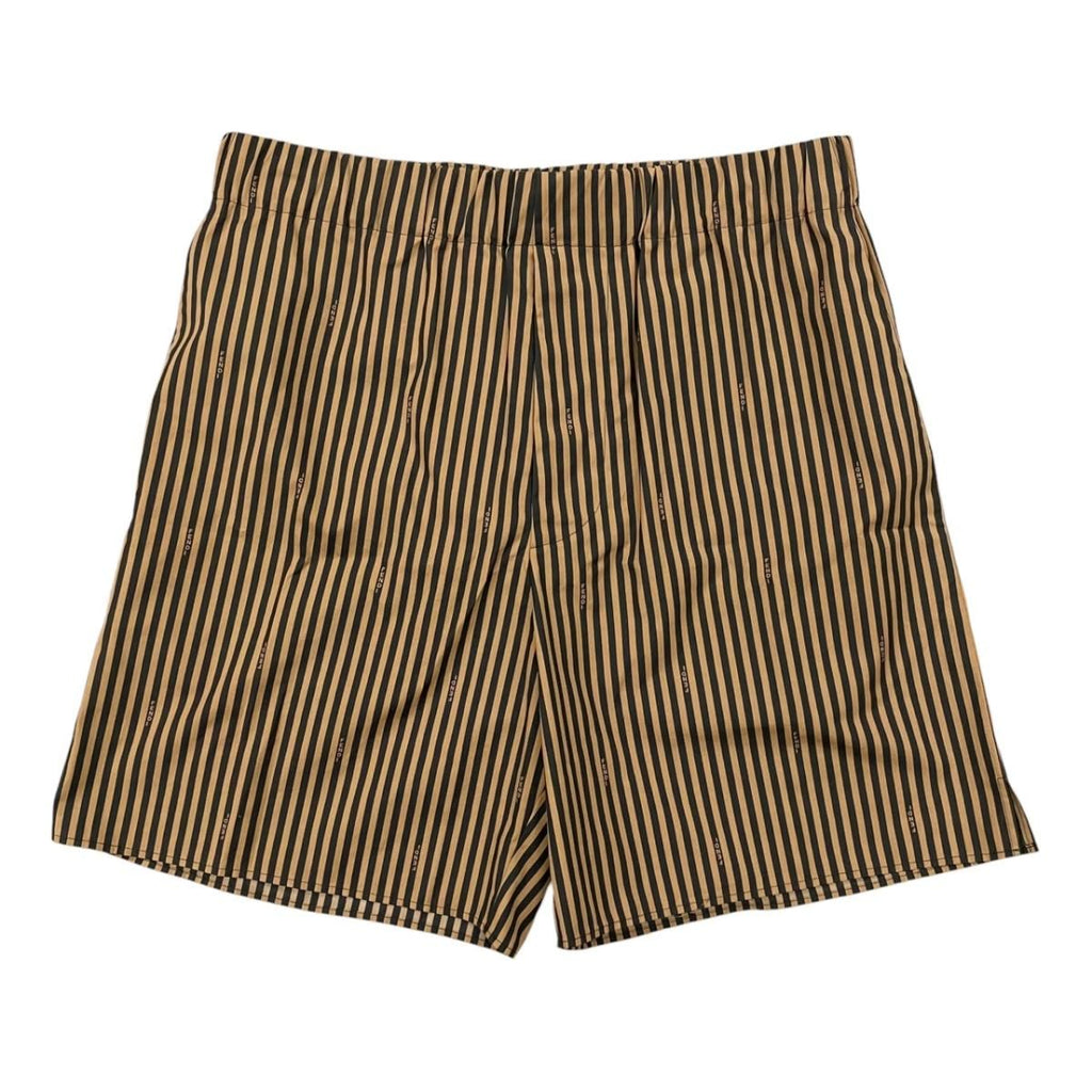 Fendi Shorts Striped Arxk 48 Cotton Brown Black