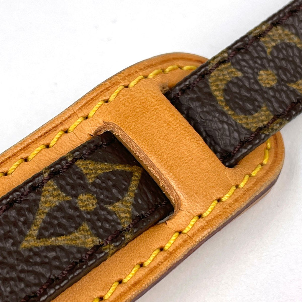 Louis Vuitton Danube Crossbody Shoulder Bag Monogram Brown — view 5