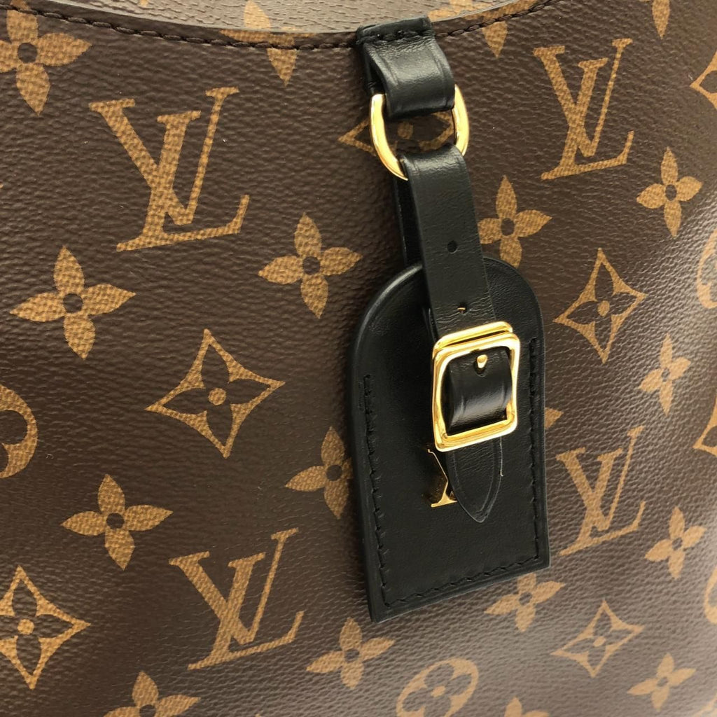 Louis Vuitton Monogram Odeon MM Shoulder — view 4