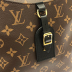 Louis Vuitton Monogram Odeon MM Shoulder — view 4