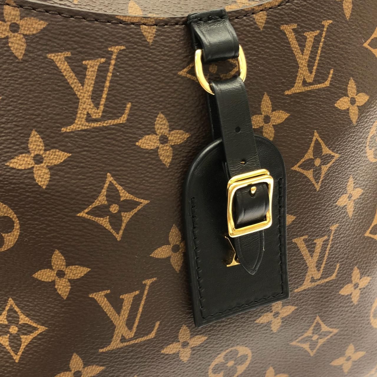 Louis Vuitton Monogram Odeon MM Shoulder — view 4