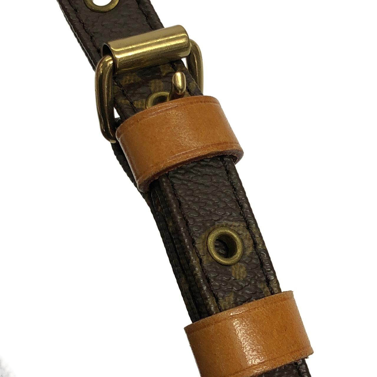 Louis Vuitton Monogram Amazon Shoulder — view 6
