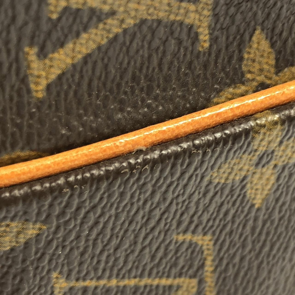 Louis Vuitton Monogram Amazon Shoulder — view 5