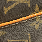 Louis Vuitton Monogram Amazon Shoulder — view 5