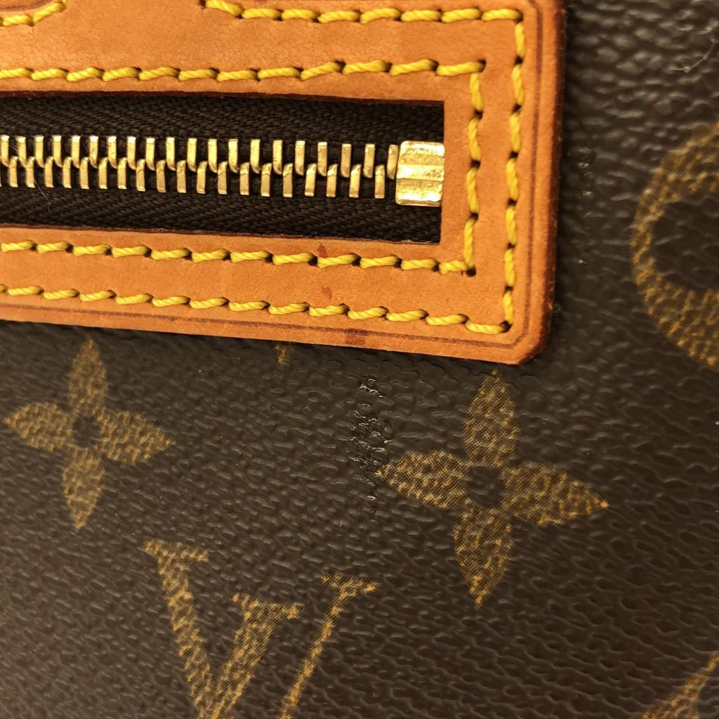 Louis Vuitton Monogram Cite MM Shoulder — view 5