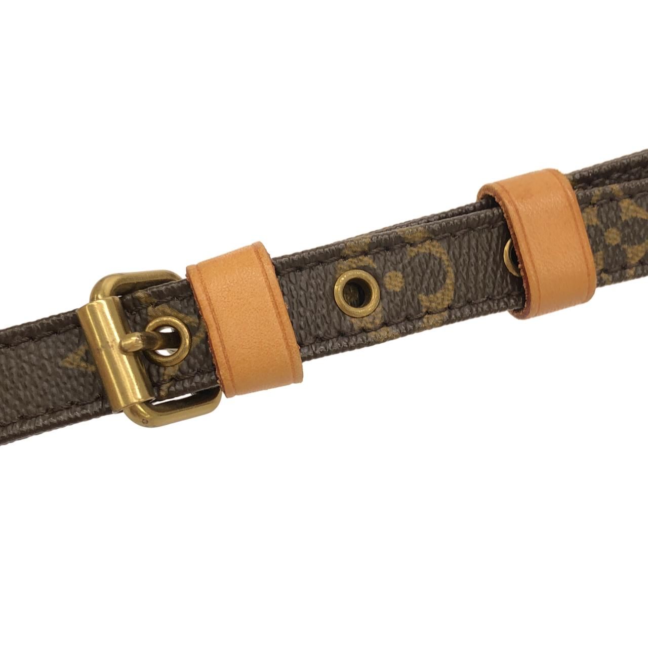 Louis Vuitton Monogram Amazon Shoulder — view 9