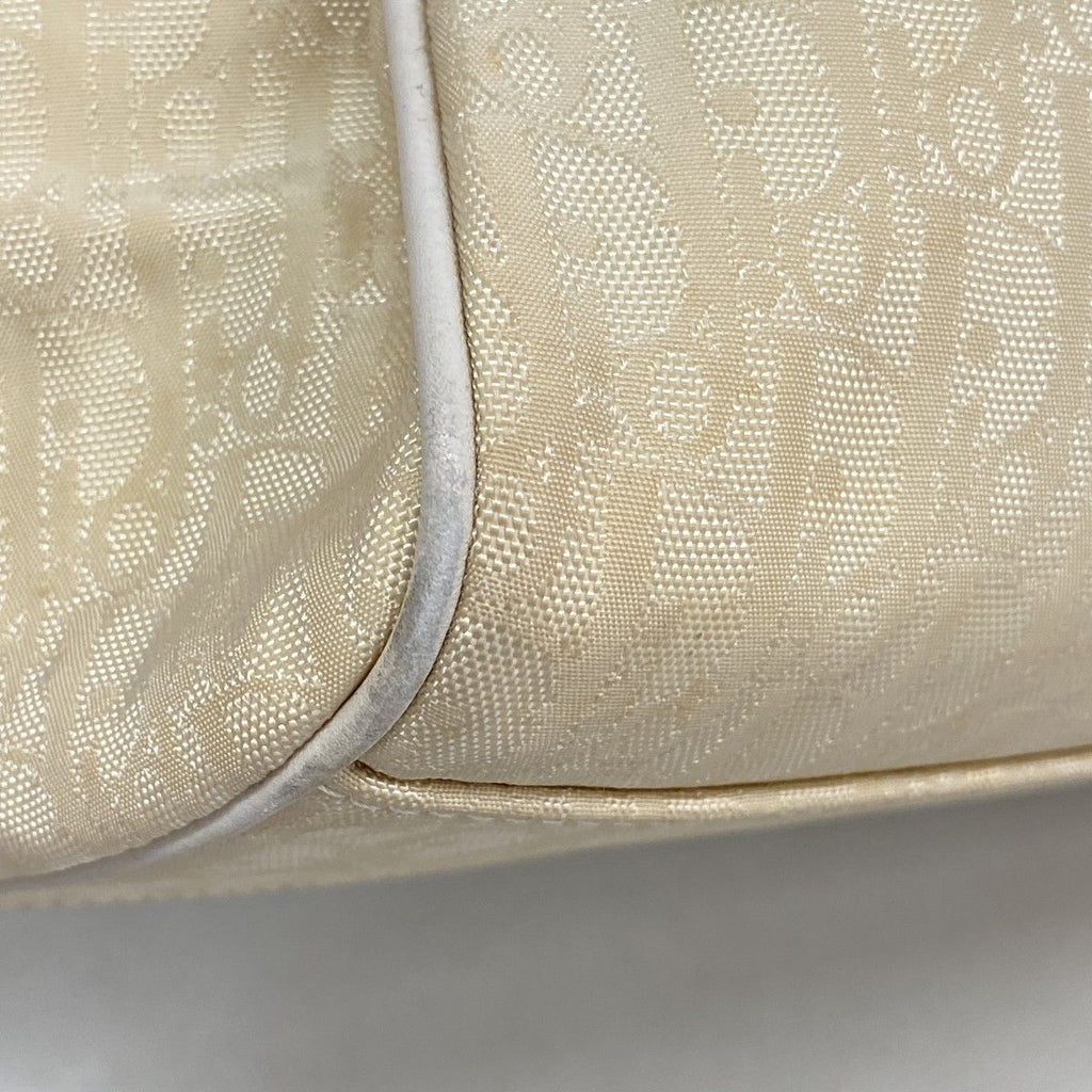 Dior Handbag Trotter Canvas Beige Silver — view 6