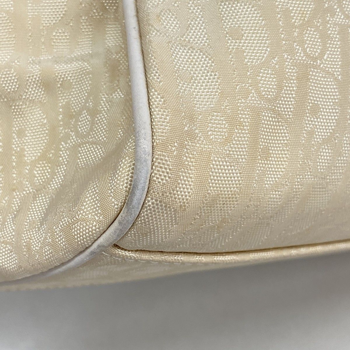 Dior Handbag Trotter Canvas Beige Silver — view 6