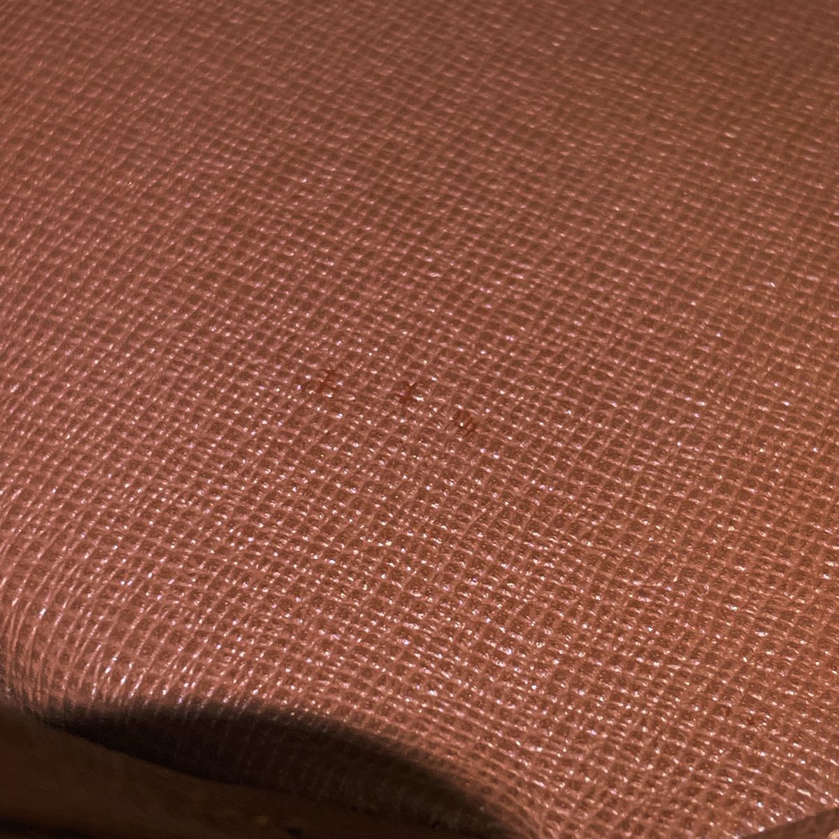Louis Vuitton Papillon 26 Tube Handbag — view 5