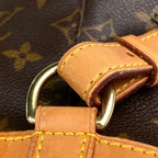 Louis Vuitton Montsouris MM Backpack Monogram Brown — view 6