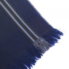 Louis Vuitton Scarf Navy — view 2