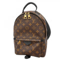 Louis Vuitton Backpack Monogram Palm Springs PM Brown