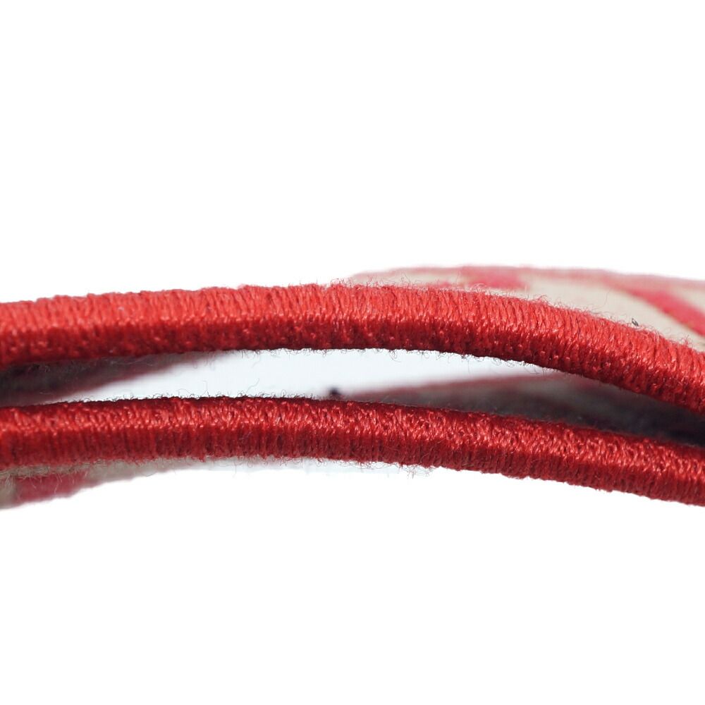 Loewe Anagram Logo Shoulder Strap Red Beige — view 9