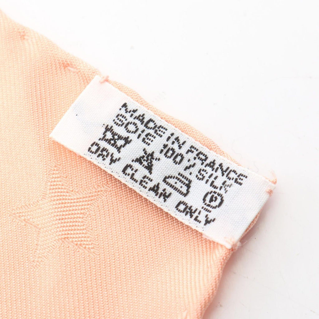Hermes Scarf Carre 90 en Piste Silk