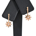 Dior Earrings Etoile