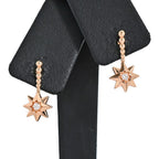 Dior Earrings Etoile