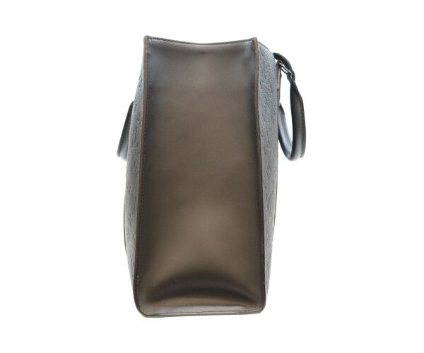Louis Vuitton Monogram Taurillon Leather Sac Plat 2-Way — view 2