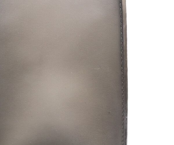 Louis Vuitton Monogram Taurillon Leather Sac Plat 2-Way — view 8