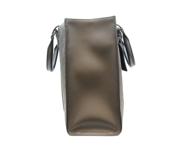 Louis Vuitton Monogram Taurillon Leather Sac Plat 2-Way — view 4